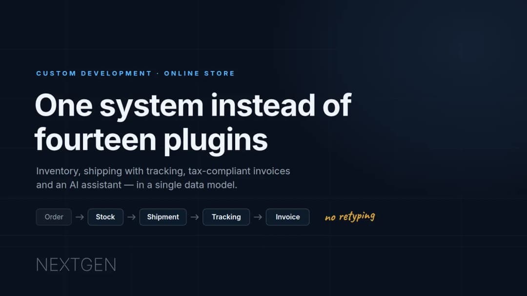 A custom CMS: one system instead of fourteen plugins